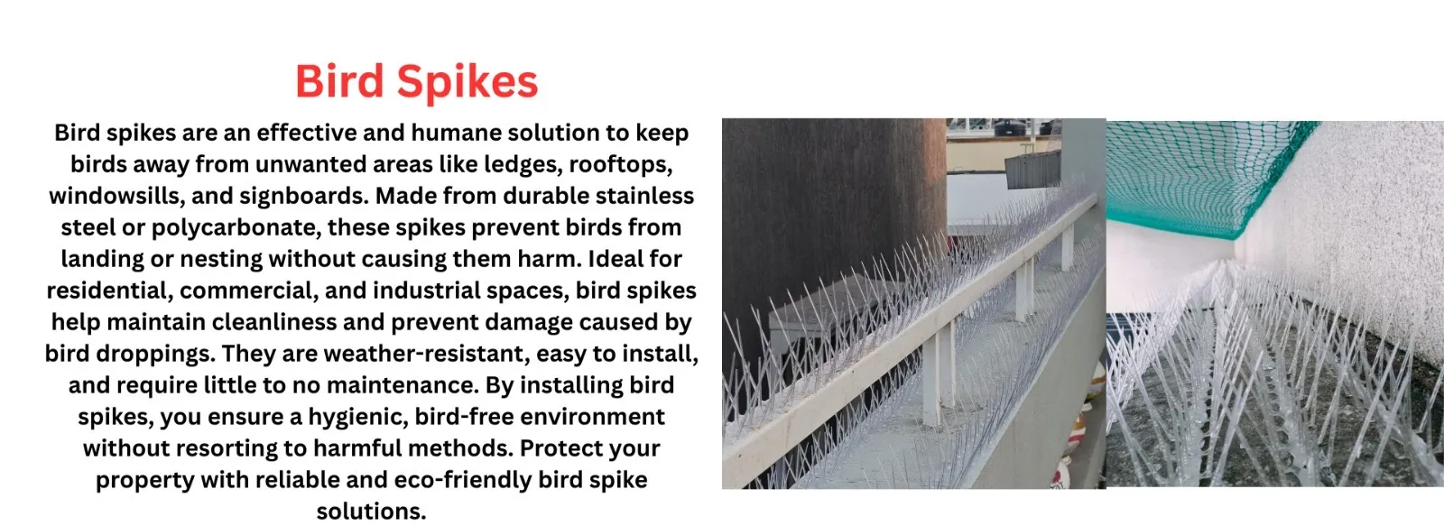 Children Safety Nets and Sports Nets Providers in Vijayawada